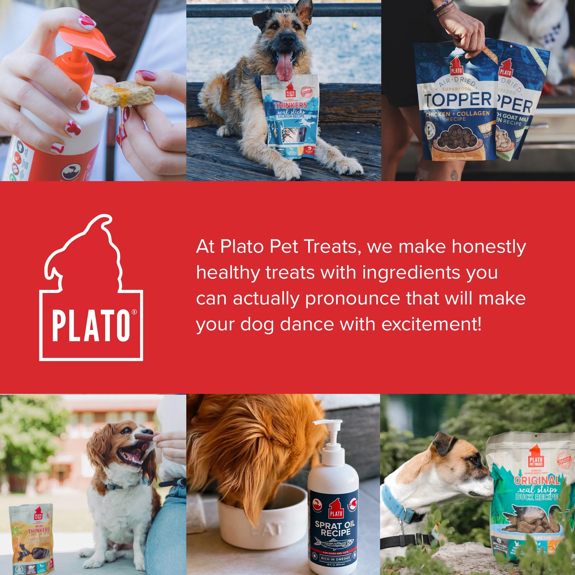 Plato Pet Treats - Wildes alaskisches Lachsöl für Hunde u. Katzen - 15.5 Unze.
