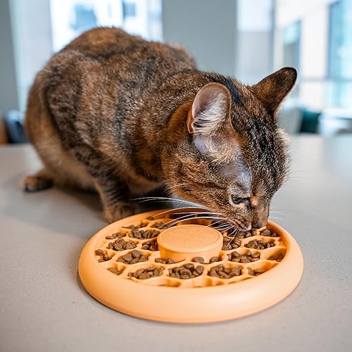 Miniatura 7 de Catstages Cuenco de alimentación lenta para gatos de interior, juguete estimulante rompecabezas de golosinas, alimentos secos o húmedos, capacidad