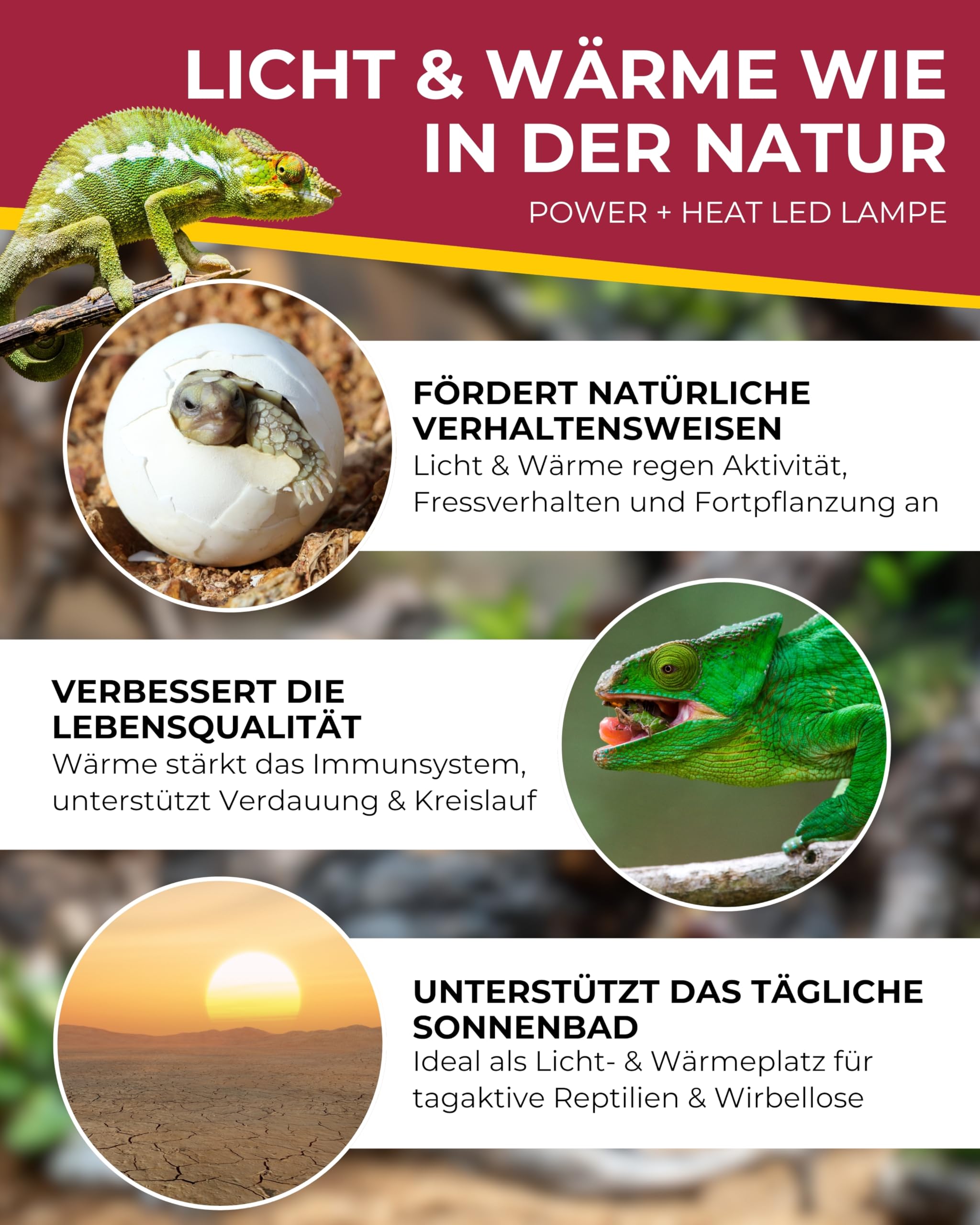 HOBBY Terraristik Power & Heat LED Strahler 35 W Terrarium Wärmestrahler LED-Lampe Wärmelampe Reptilien Amphibien