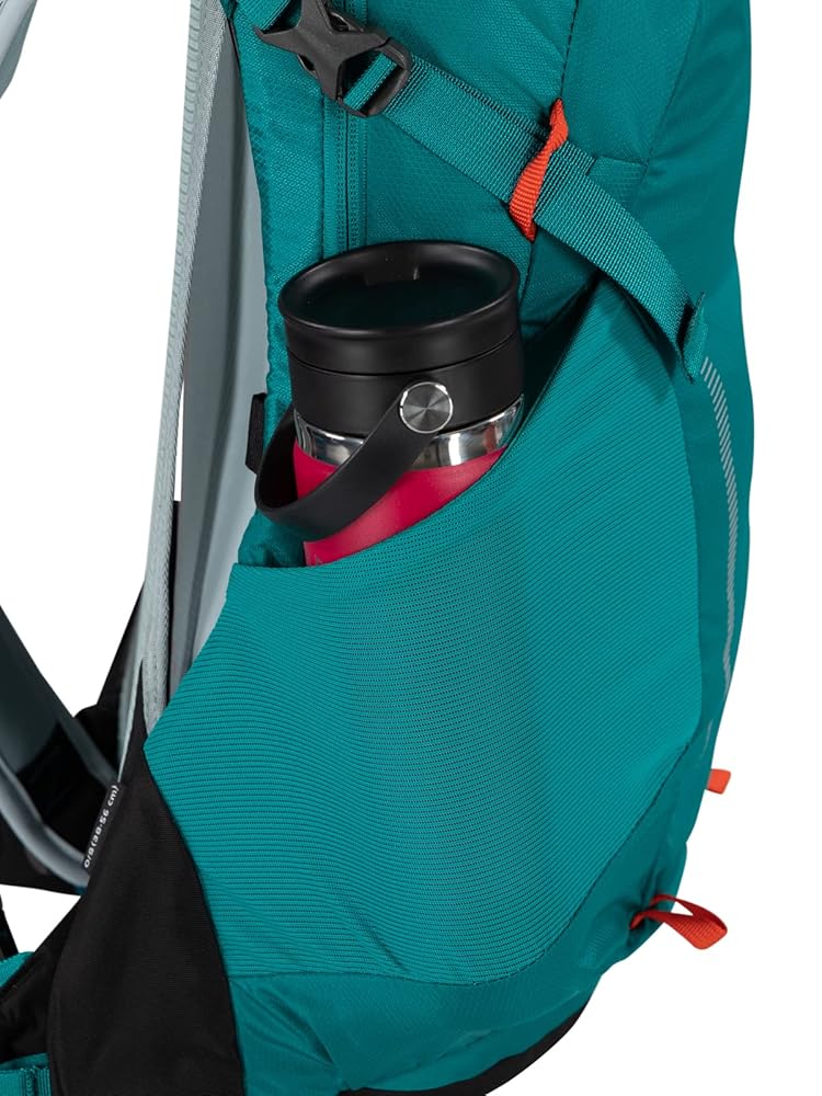 Amazon.co.jp: Osprey Hikelite 18L ユニ ハイキングバック