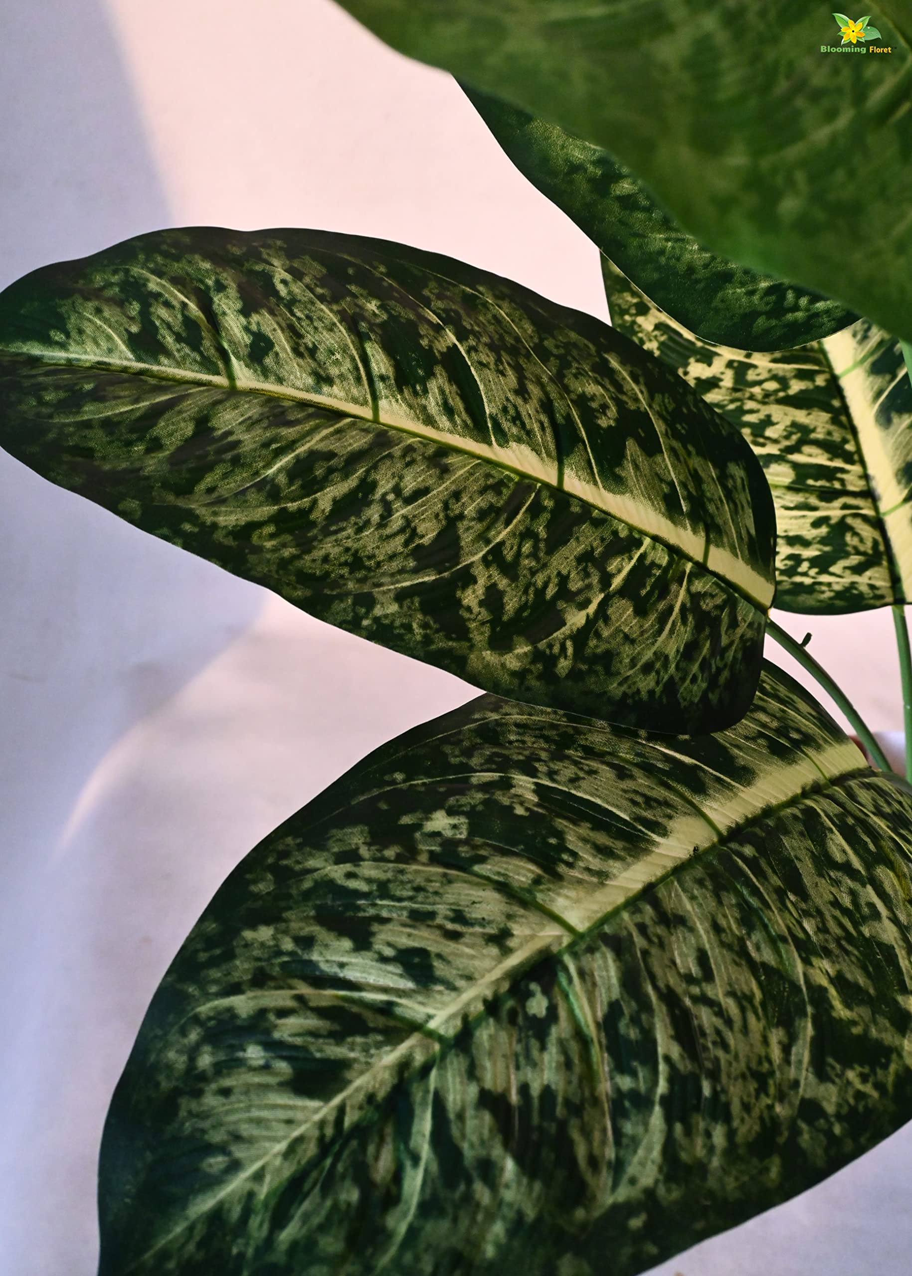Blooming Floret Dieffenbachia Plant - Artificial Tropical Decor -7