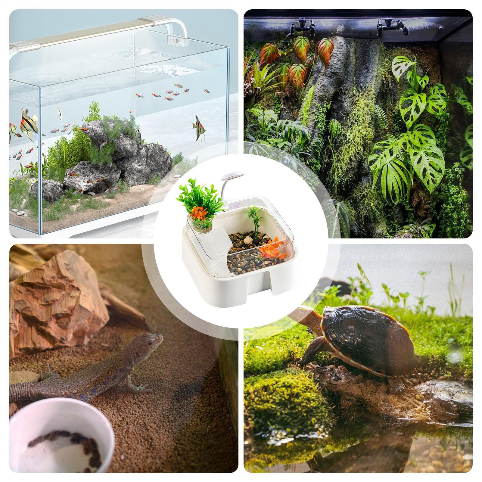 Akwarium Dla Żółwi Wodnych Terrarium Dla Gadów Z Akcesoriami | Zestaw Habitat dla Małego Żółwia i Rybek dla Krabów Palmaowych Żółwi Agam Brodatych Węży i Pająków do Domu i Biura