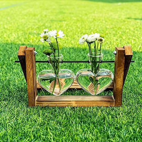 Miniatura 22 de Kingbuy Estación de propagación de plantas con 5 jarrones de bombilla, soporte de madera retro, maceta de vidrio de escritorio, terrario