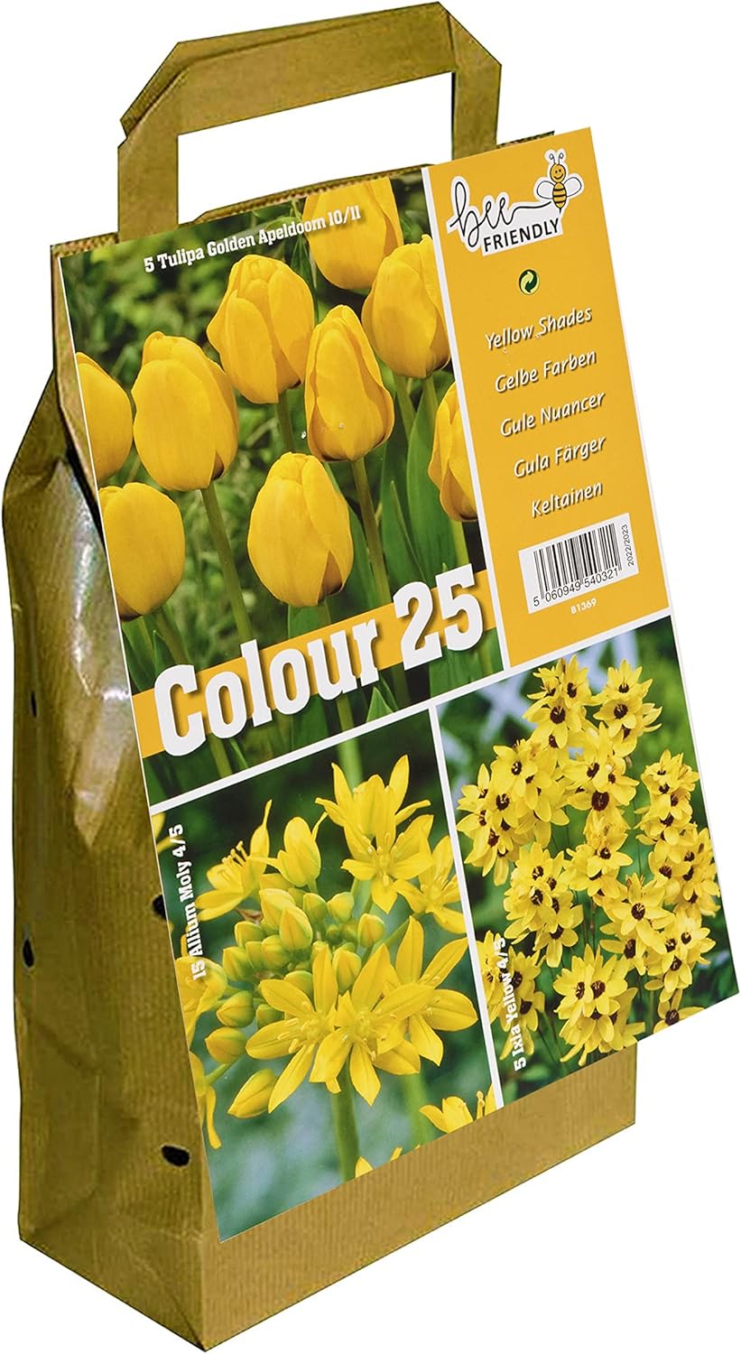 Greenbrokers Colour Collection Spring Flower Bulbs Yellow (Pack 25) Amazon.co.uk Garden