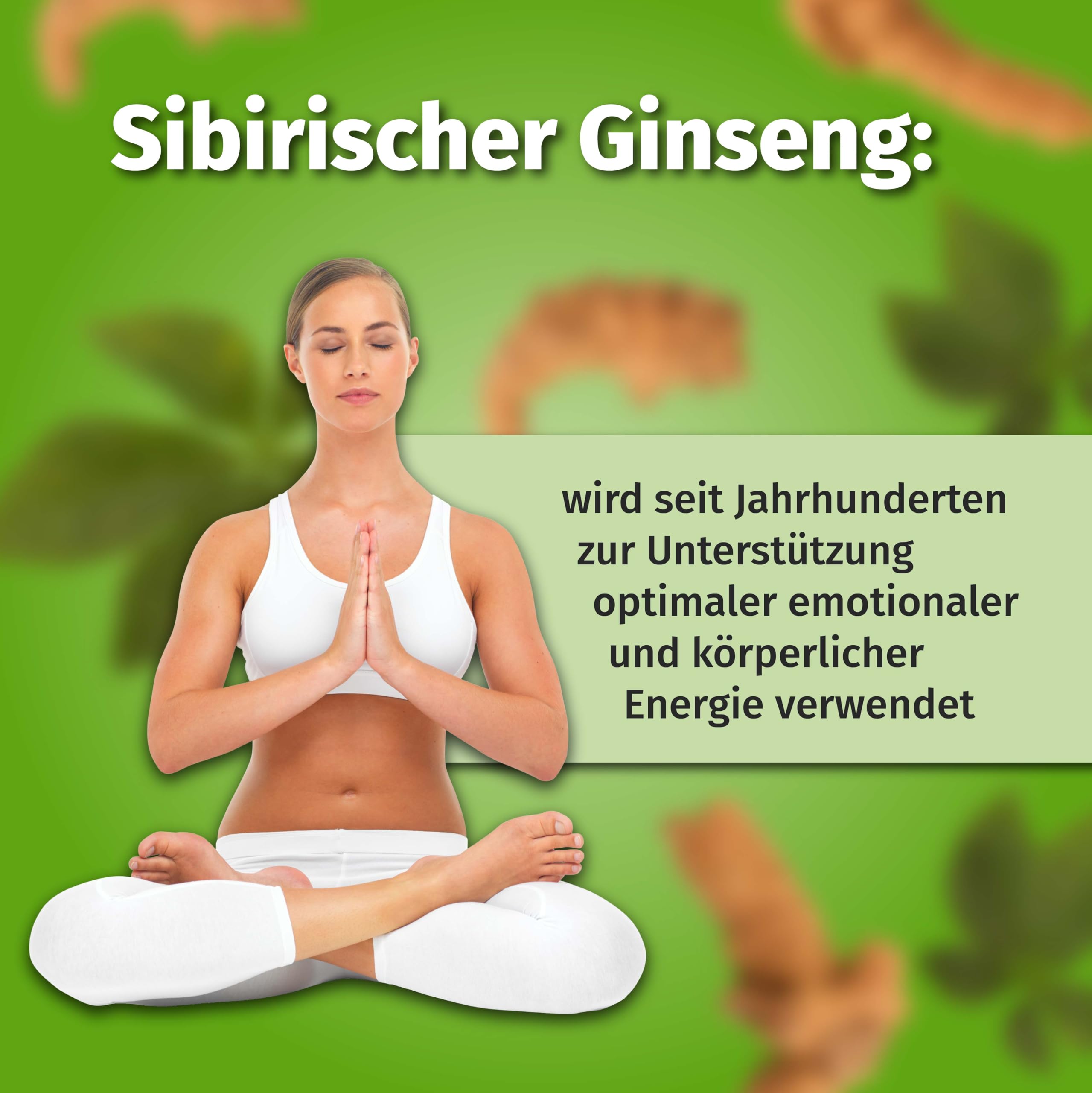 Nature's Finest Bio Sibirischer Ginseng, Pulver 250 g | Eleutherococcus senticosus Wurzelpulver - 100 % bio, vegan - traditionsreiche Wurzel, fein gemahlen für Getränke