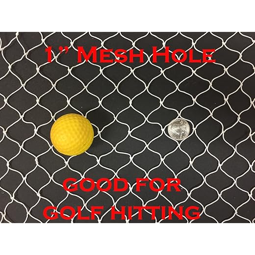 Many Sizes, New Netting Fish Fishing Net for Golf Backstop, Hockey, La Crosse, Barrier, Sports (10ft x 25ft)