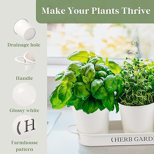 Miniatura 4 de PERFNIQUE Jardín de hierbas para interior, maceta de hierbas para interiorexterior, macetas de granja, alféizar de la ventana jardín de hierbas con