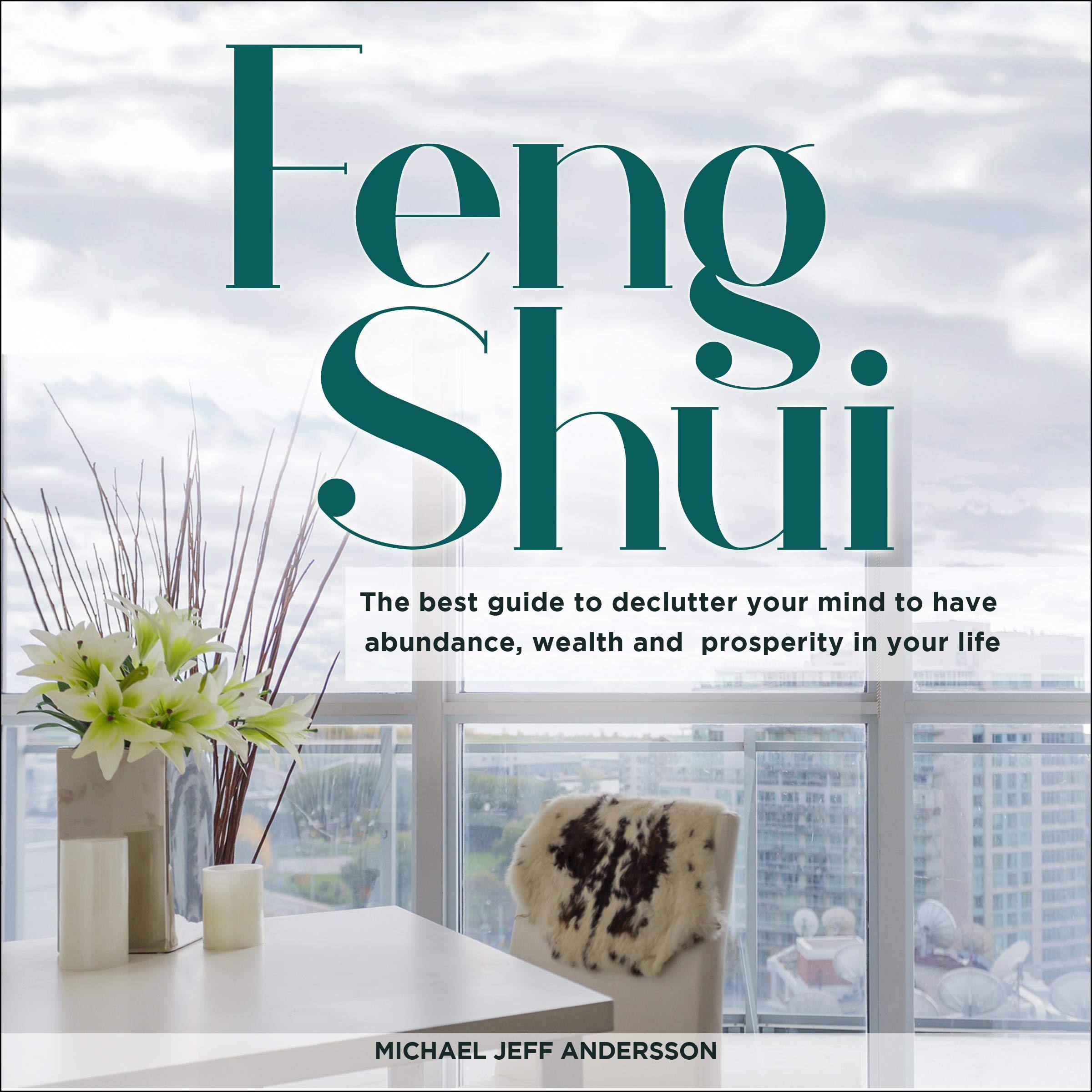 Cover art for Feng Shui