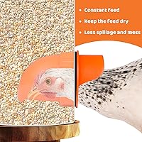 Vista 4 de Alimentador automático de pollos sin desperdicios, alimentador automático de aves de corral, juego de comedero y bebedero de pollos para bricolaje
