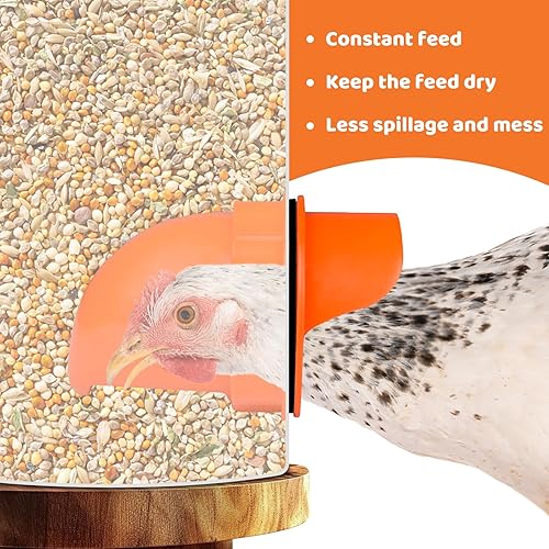 Miniatura 4 de Alimentador automático de pollos sin desperdicios, alimentador automático de aves de corral, juego de comedero y bebedero de pollos para bricolaje,