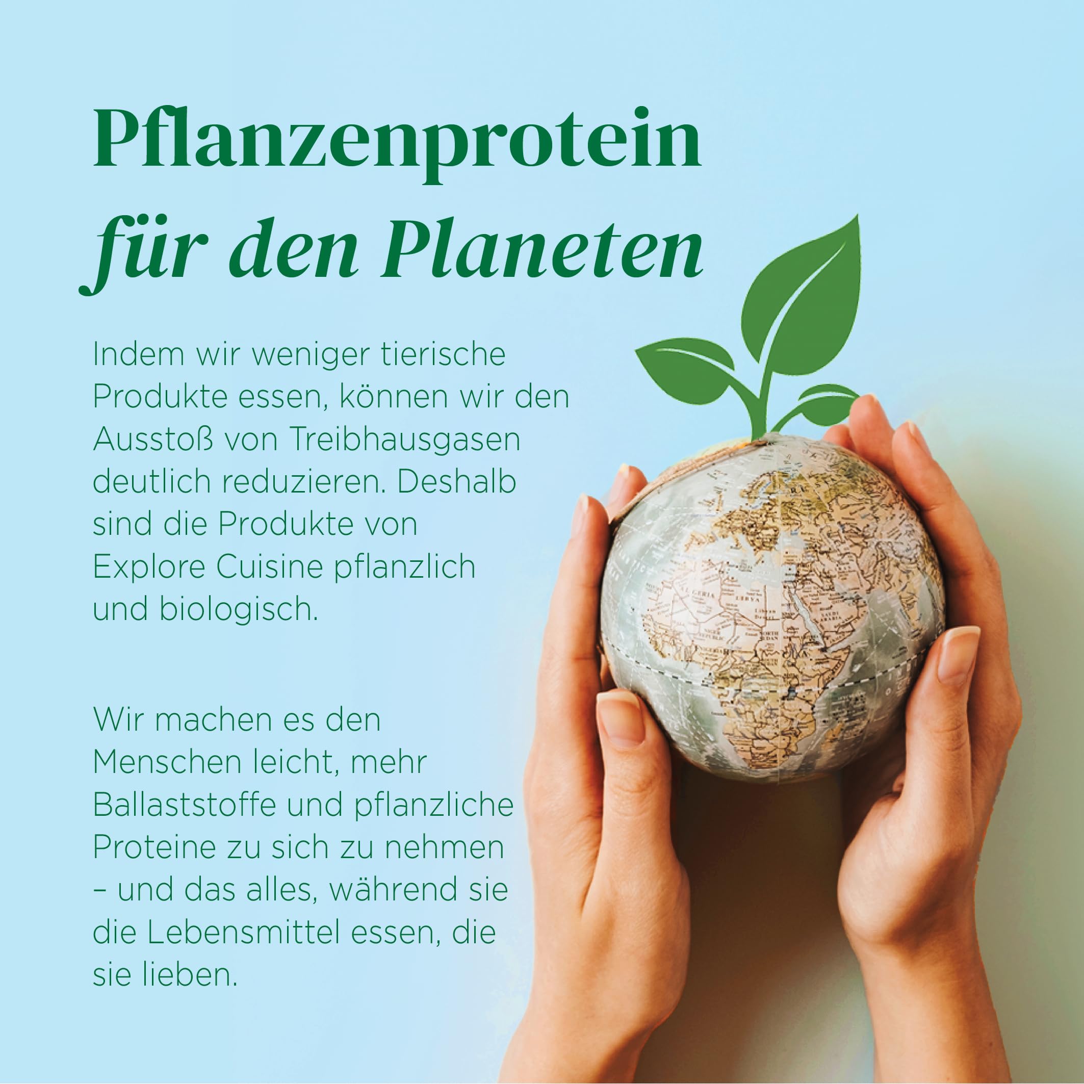 Explore Cuisine Bio Fettuccine aus Edamame & Mungobohnen, 6 x 200g | Proteinreich, ballaststoffreich, glutenfrei, low-carb, Vegan, nur 2 Zutaten hergestellt, einfach zuzubereiten, Multipack
