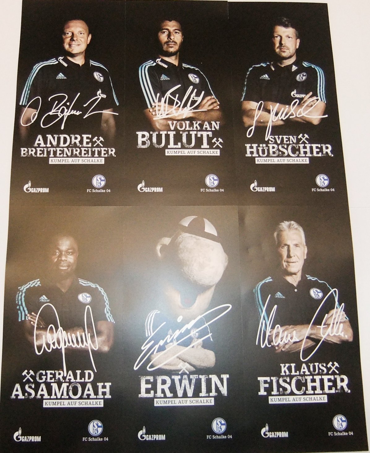 Lot De 26 Cartes Autographes FC Schalke 04 – Signatures Originales – Collection