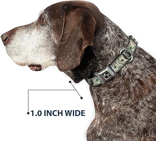 Miniatura 6 de Buckle-Down Collar de perro con hebilla de cinturón de seguridad, billetes de 100 dólares, 1 pulgada de ancho, se adapta a cuello de 15 a 26