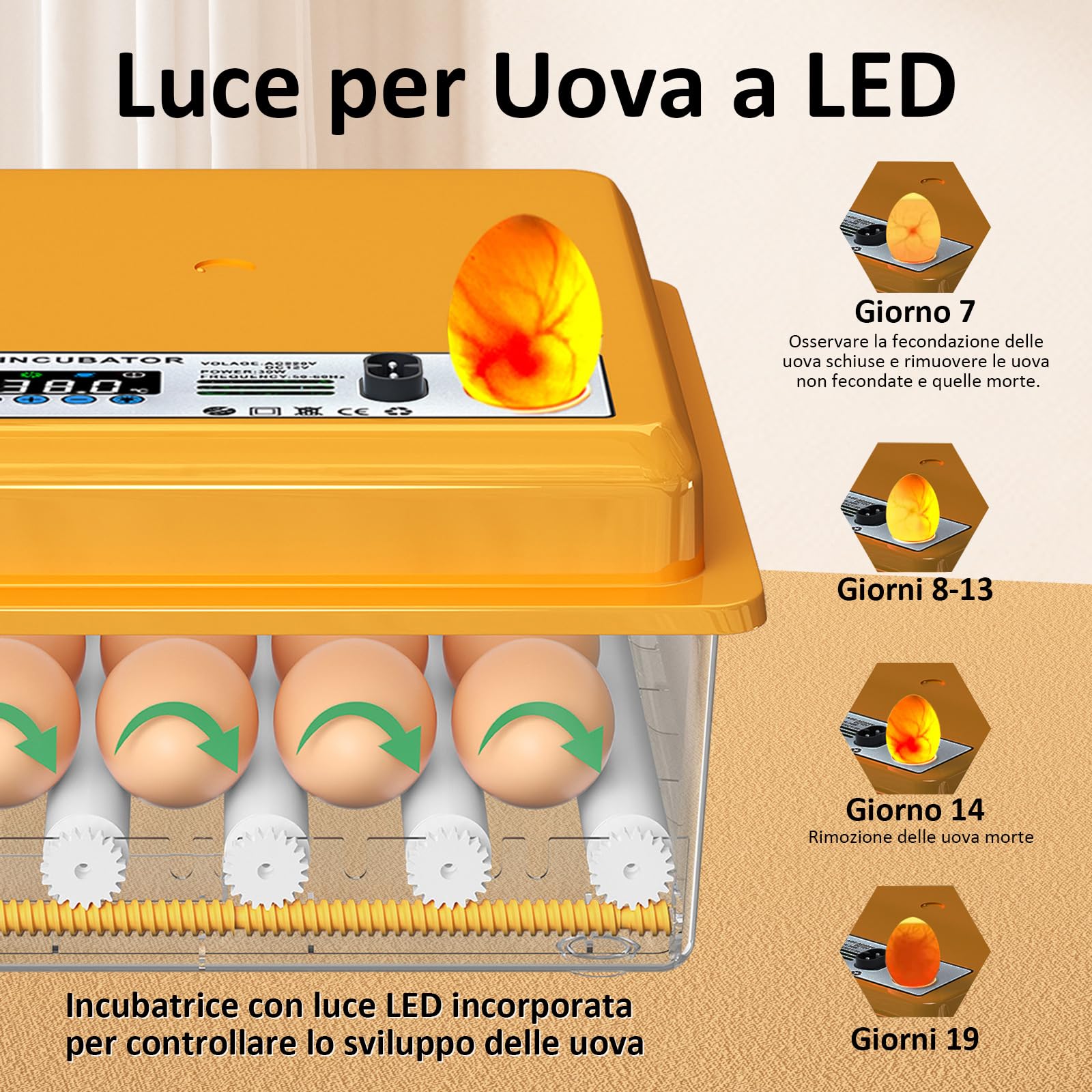 Incubatrice per Uova con Controllo della Temperatura e Rotazione Automatica per 16 uova, Incubatrice per Uova Automatica con rulli regolabili e aggiunta automatica di acqua
