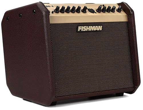 FISHMAN フィッシュマン ラウドボックス・ミニ 60W アコースティックギターアンプ BT内蔵 小型・軽量 音源とのセッションや録音可能
