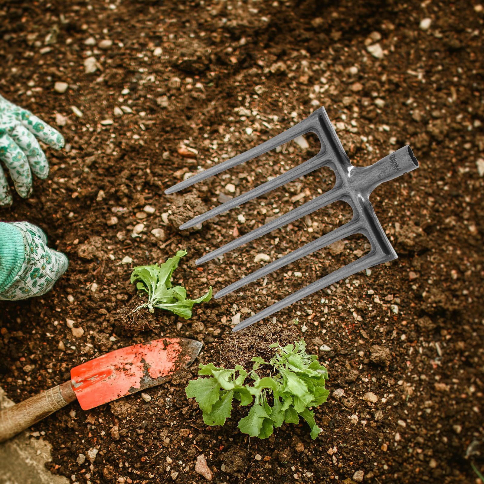 GLEAVI Forca Agricola in Acciaio Resistente Testa Multidente 5 o 6 Denti, Attrezzo Manuale per Allentare e Rivoltare Terreno, per Giardinaggio, Orto e Preparazione del Suolo