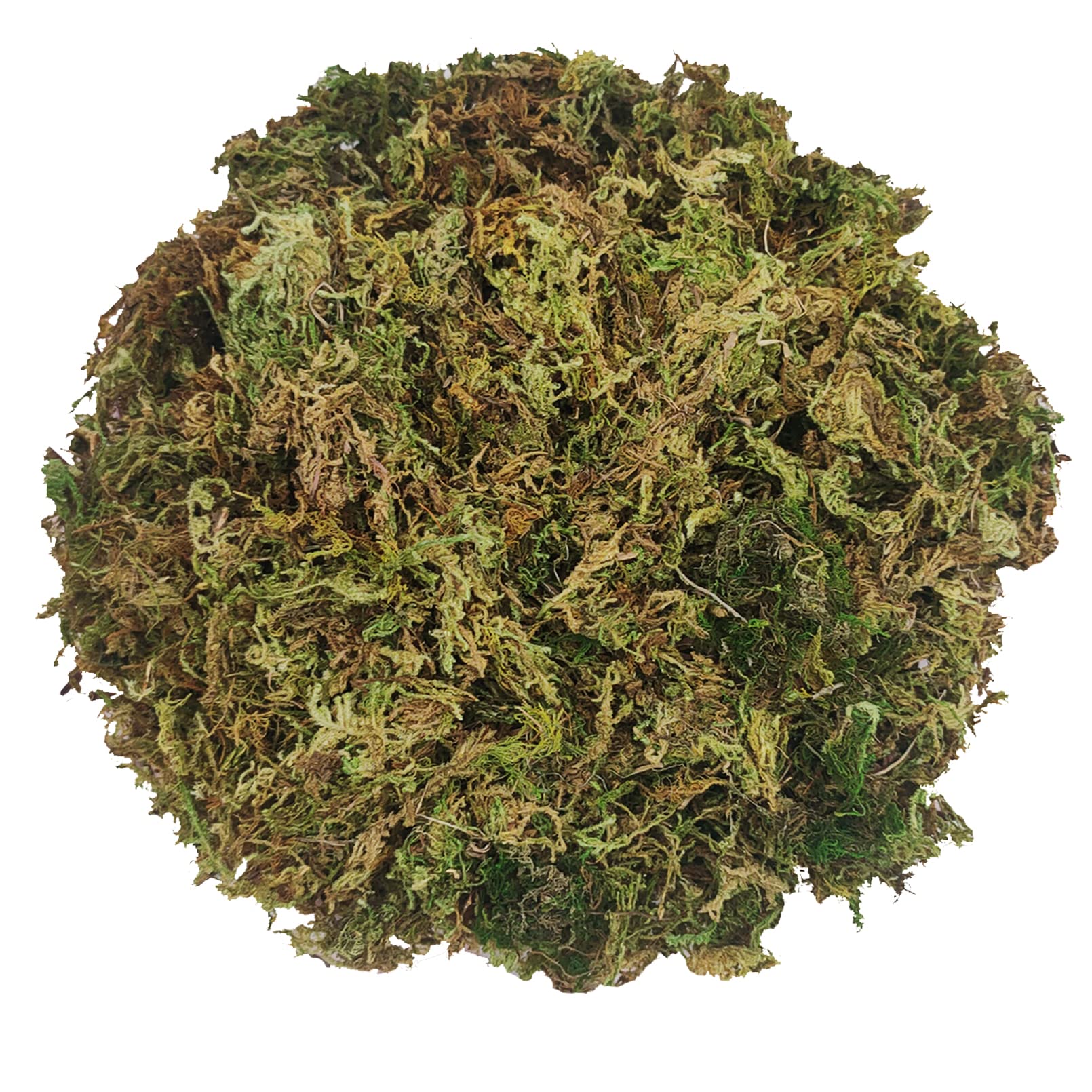 Buy Hamiledyi Natural Sphagnum Moss Terrarium Reptile Moss for Frogs