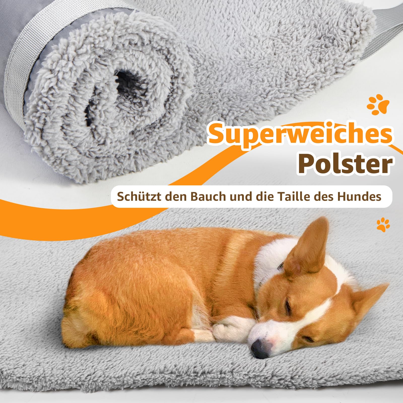 Aide au transport pour chien