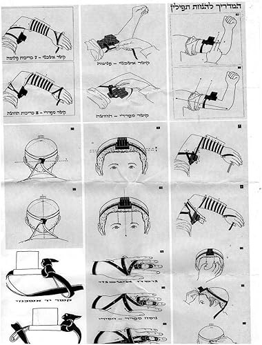 Miniatura 5 de Tefillin para diestros Ashkenaz Versión Kosher judío Tefilin Ashkenazic