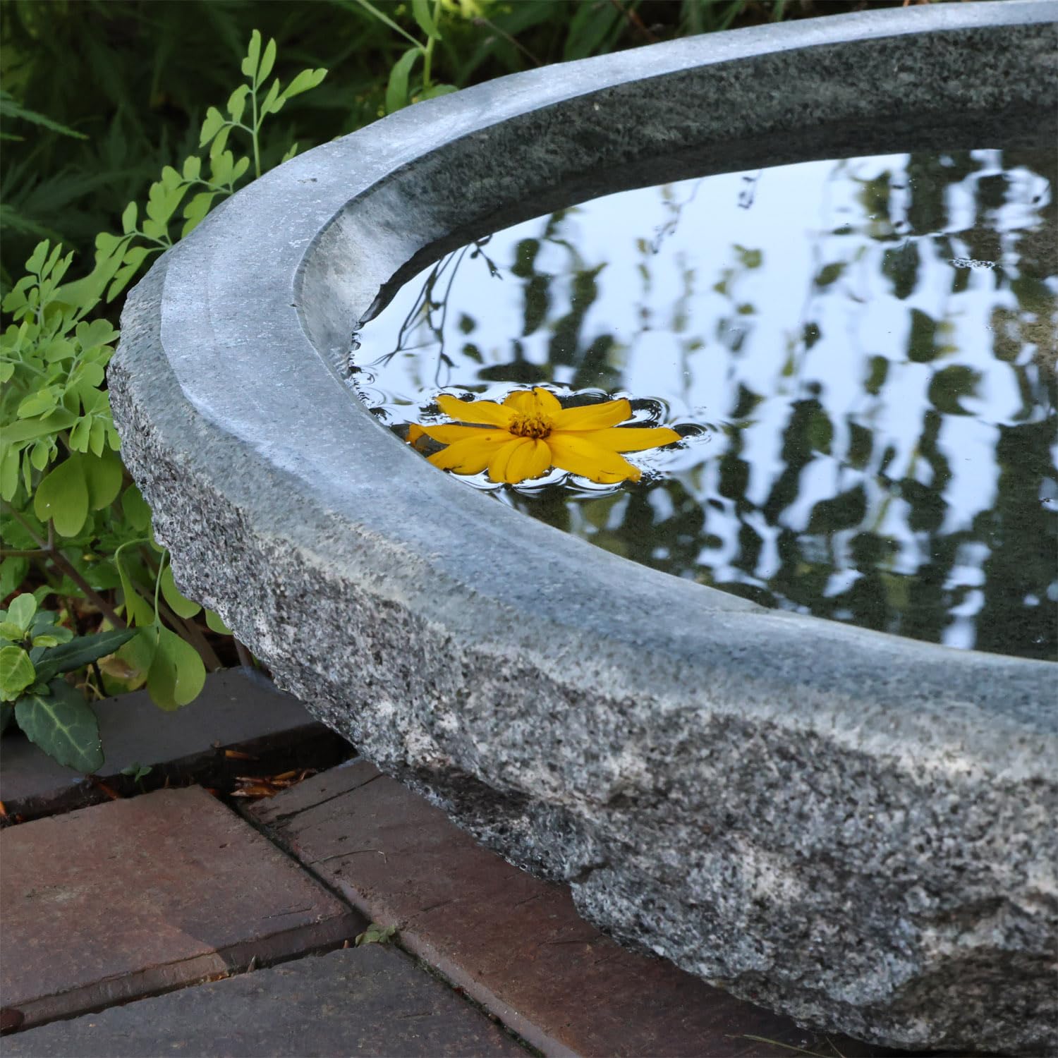 CLGarden Naturstein Wasserschale GVT2 aus Granit Ø 46cm Vogeltränke groß Garten Stein Boden Vogel Bad frostfest