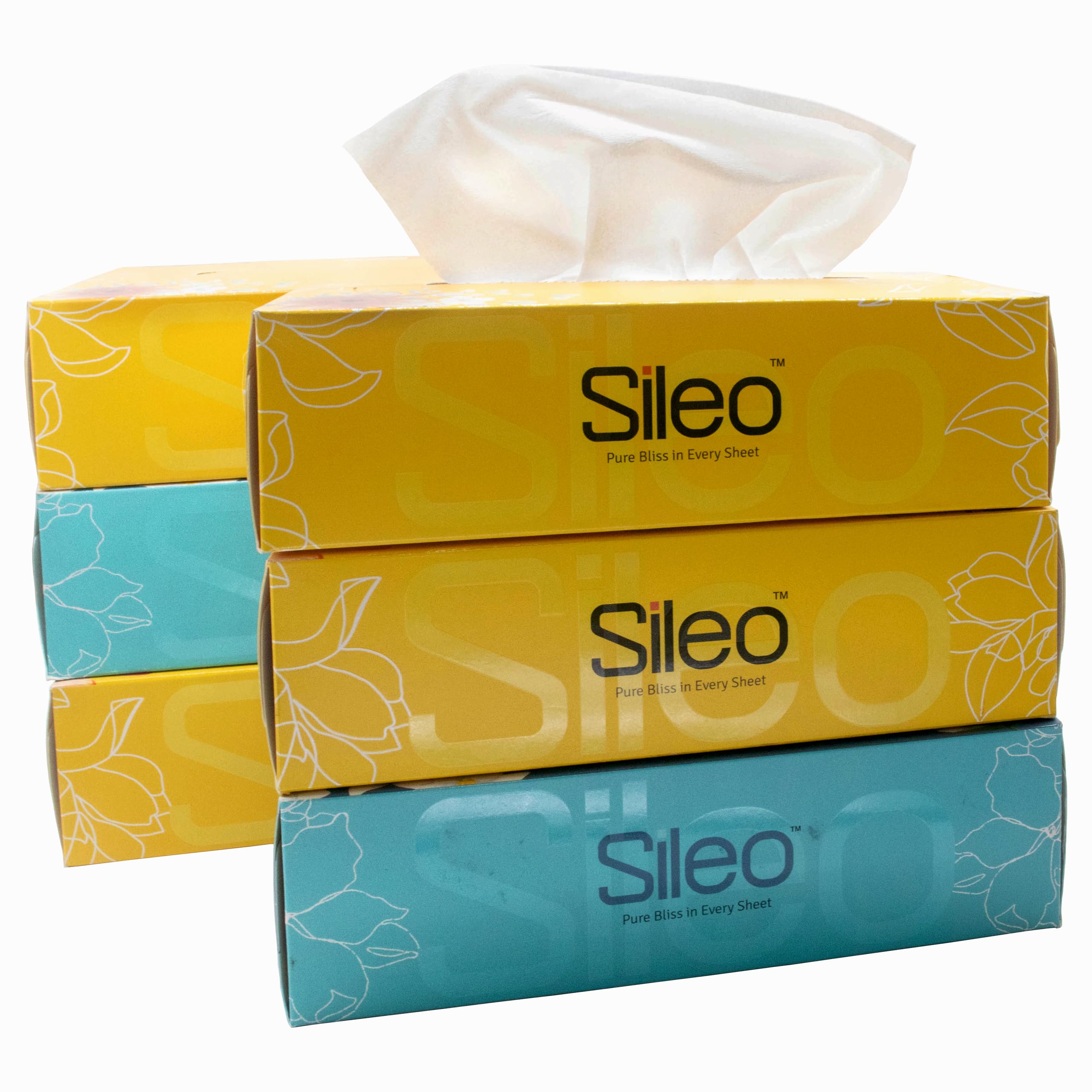 Sileo™ Tissue Car Box 2 Ply Face/Facial Tissues Carton Box | Soft, Absorbent, Safe & Hygienic Tissue Paper | Multipurpose Napkins | Convenient, Eco Friendly - Pack of 6 (100 Pulls Per Box, 600 Sheets) (B0D76DR55B) Amazon Price History, Amazon Price Tracker