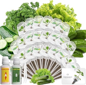 LYKOCLEAN 24 Pods Vegetable & Salad Green Seed Pod Kit for Aerogarden, Ahopegarden, iDOO Non-GMO American Fast Lettuce, Green Pepper, Cucumber, Parsley Seeds, Compatible with All Hydroponic System