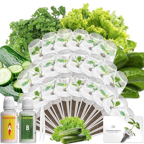 LYKOCLEAN 24 Pods Vegetable & Salad Green Seed Pod Kit for Aerogarden, Ahopegarden, iDOO – Non-GMO American Fast Lettuce, Green Pepper, Cucumber, Parsley Seeds, Compatible with All Hydroponic System - 24-pods - Vegetable
