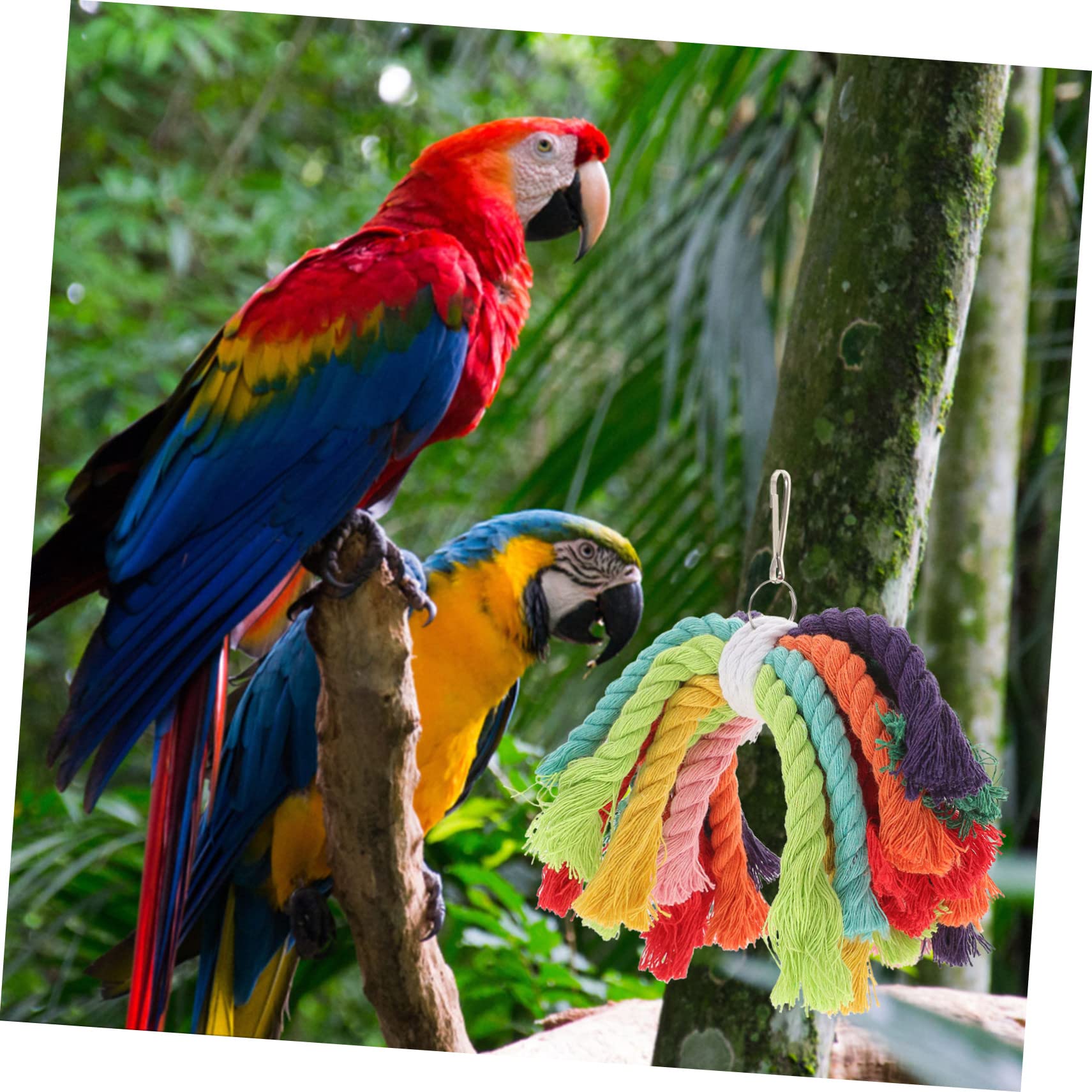 Beavorty 5pièces Jouet à Mordre pour Oiseaux Coton Jouet Corde pour Perroquet Amusement Et Détente
