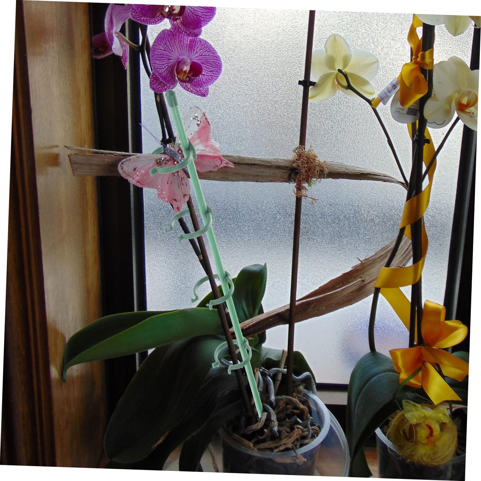 2 Ensembles Tige de Soutien pour Plantes de Jardin de Piquets de Soutien Floraux Boucles Ajustables pour Roses Plantes Grimpantes Outils Pratiques pour Jardinage Extérieur