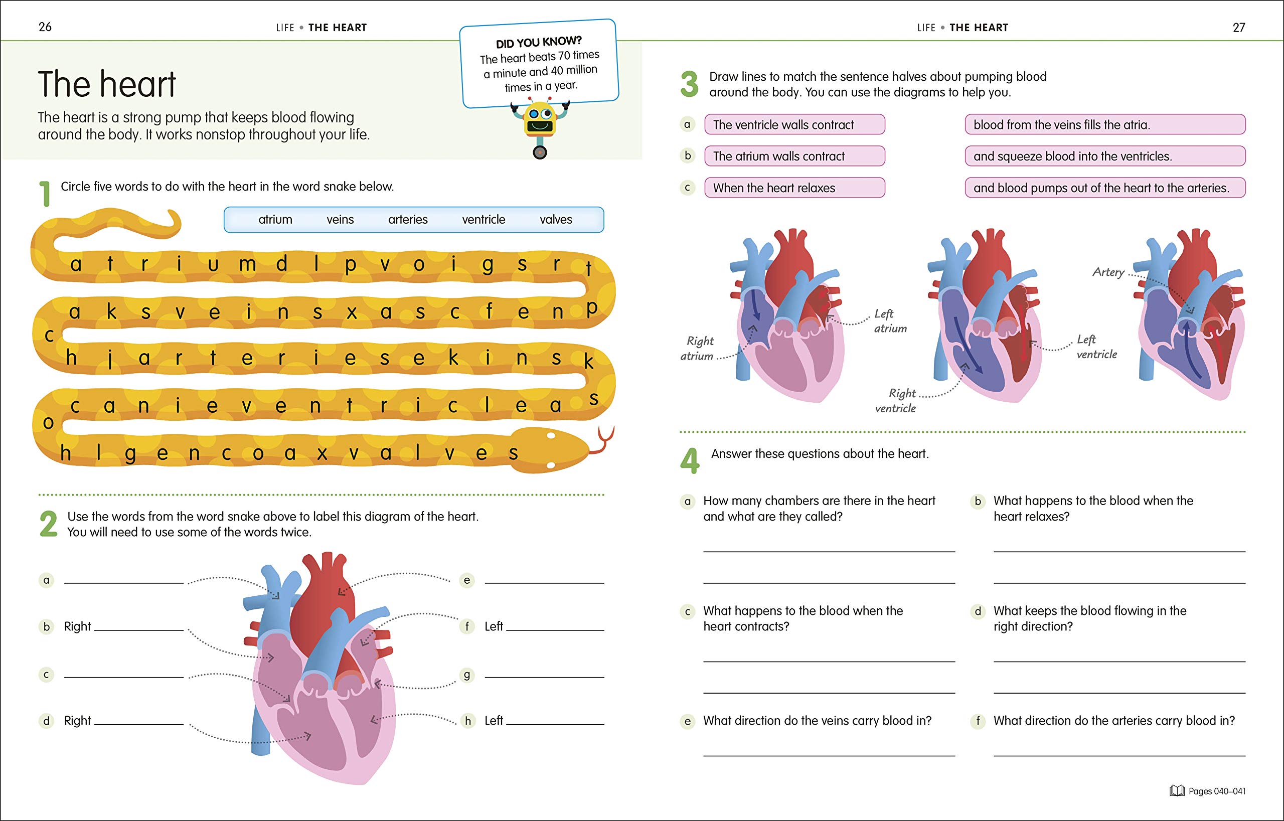 How to Be Good at Science, Technology and Engineering Workbook, Grades 2-5 (DK How to Be Good at) - Image 3
