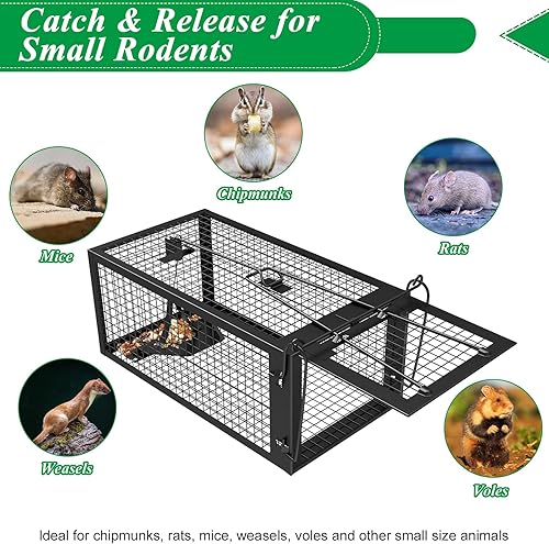 Miniatura 4 de Trampas humanas para ratas al aire libre, 2 paquetes de trampas para ratones para uso en interiores, trampas para ardillas roedoras para captura y