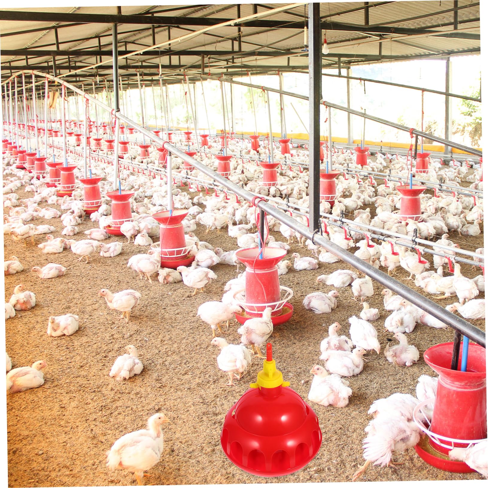POPETPOP Bebedero Automático para Pajaros Bebedero para Gallinas Sistema De Doméstico y