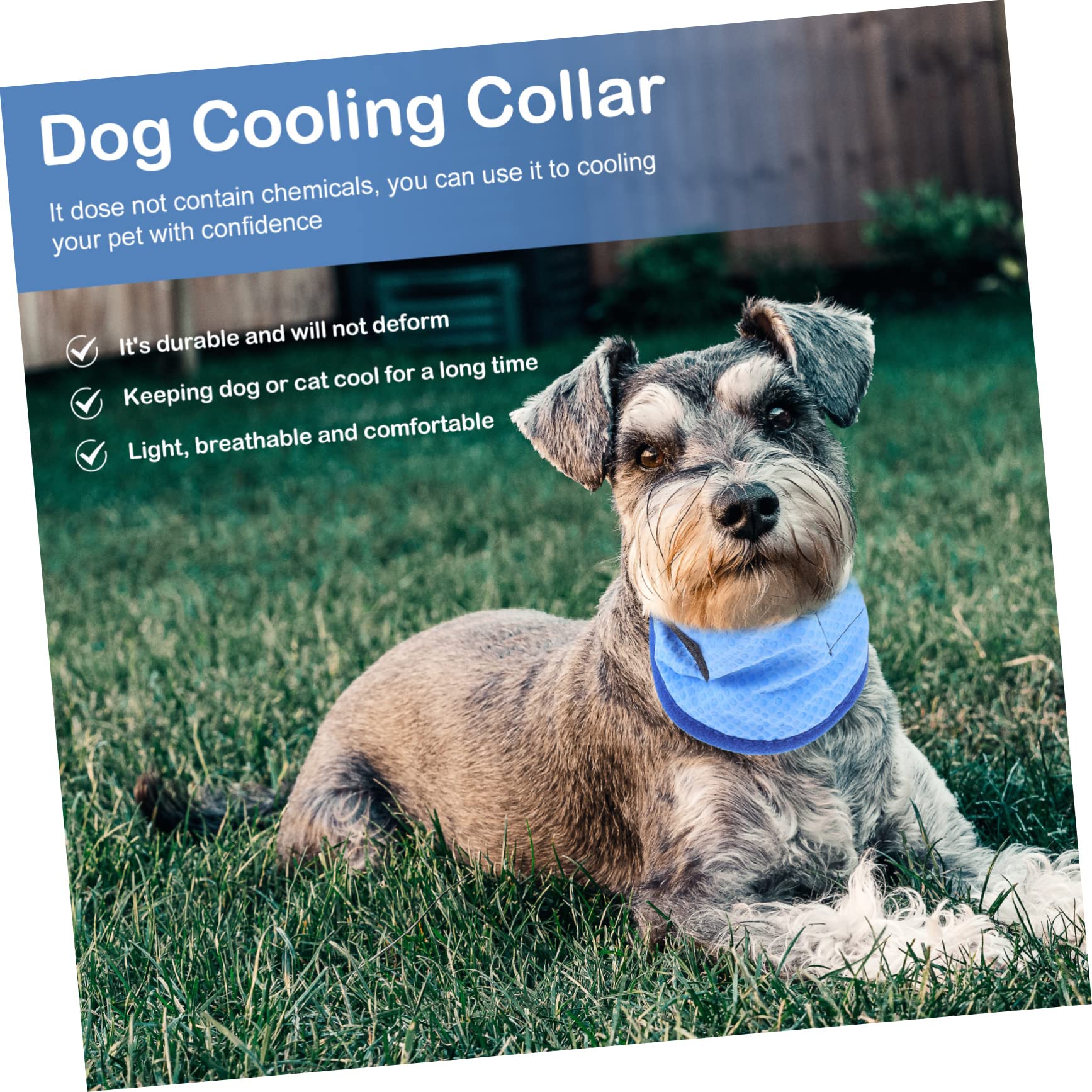 minkissy 4pièces Bandana Réfrigérante pour Chien Écharpe De Refroidissement pour Animaux De Compagnie Accessoire Légèreté pour Promenade Et Activités Extérieures