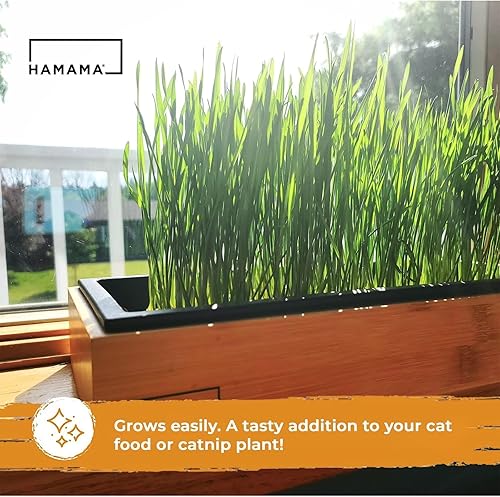 Miniatura 6 de HAMAMA Microgreens - Kit de cultivo de hierba de trigo, tapete para brotes de interior, colchas de semillas de fácil instalación, paquete de 3,