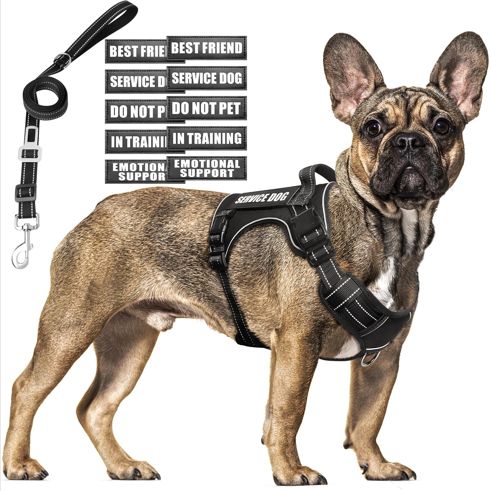 MOOGROU Tactical Dog Harness and Leash Set Medium Sized Dog,Heavy Duty No Pull Service Dog Vest and 10 Patches with Dog Seat Belt,Reflective