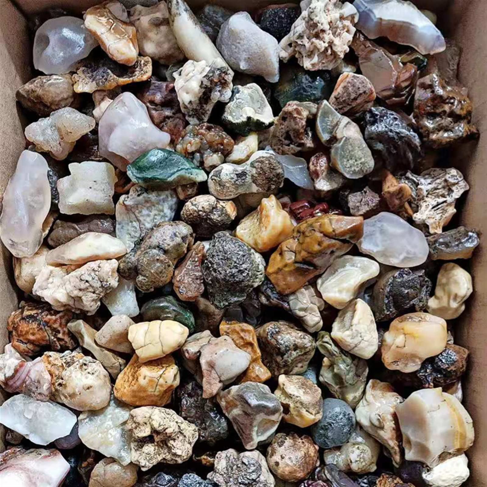 100 g Alxa Gobi Agata Naturale Gobi Stone Fish Tank Stone Strange Stone Collection Stone Family Fish Tank Decorazione Pietra Collezioni di casa