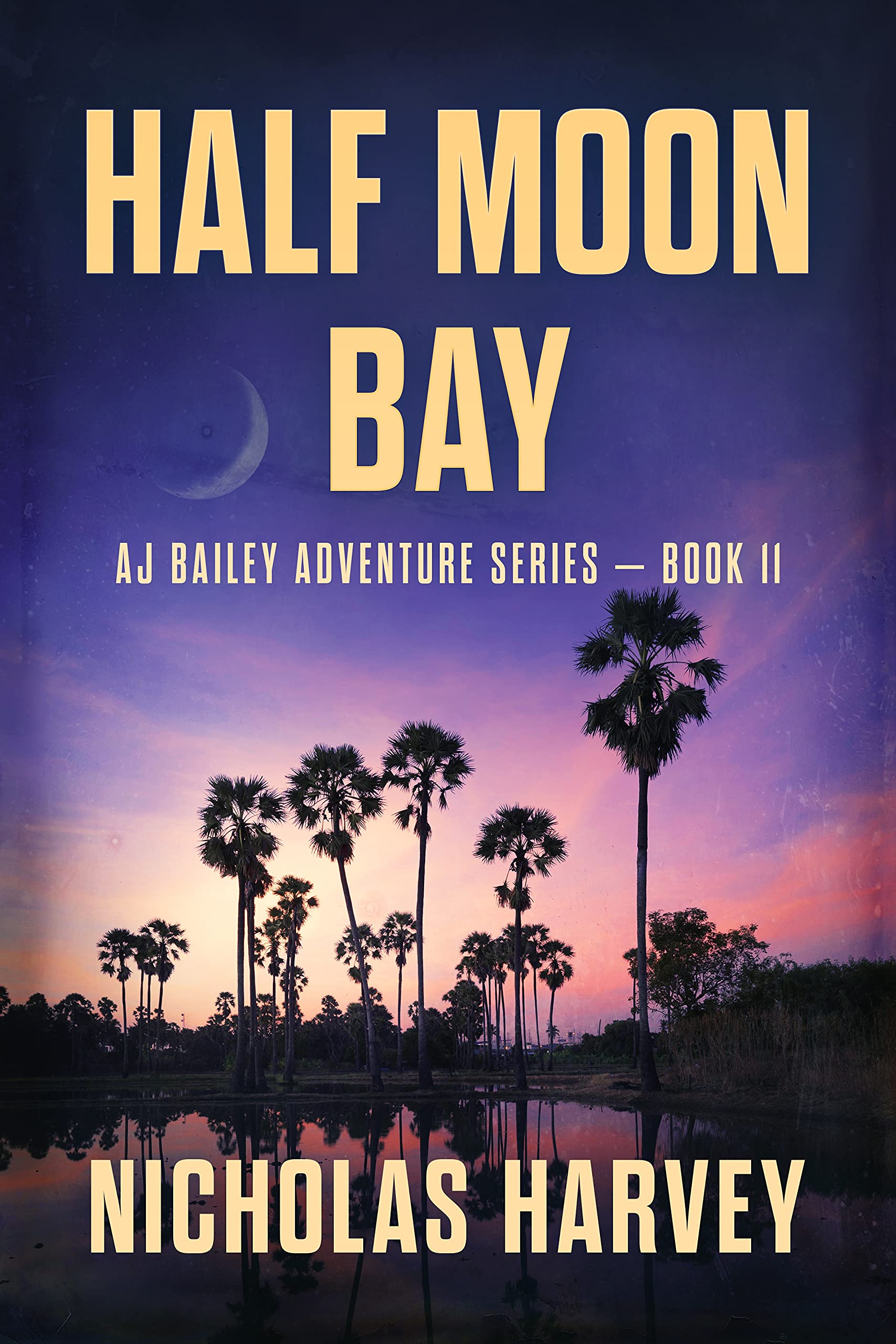 Half Moon Bay: AJ Bailey Adventure Series, Book 11