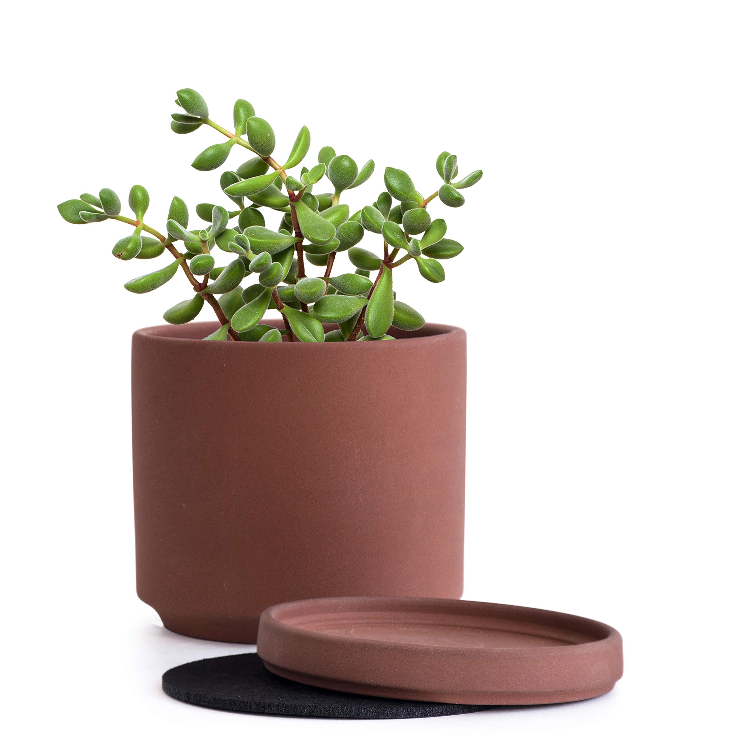 D'vine Dev 4 Inch Rust Terracotta Plant Pot with Drainage Hole and Saucer, Round Cylinder Planter Pot for Indoor Plants, 40-V-A-3