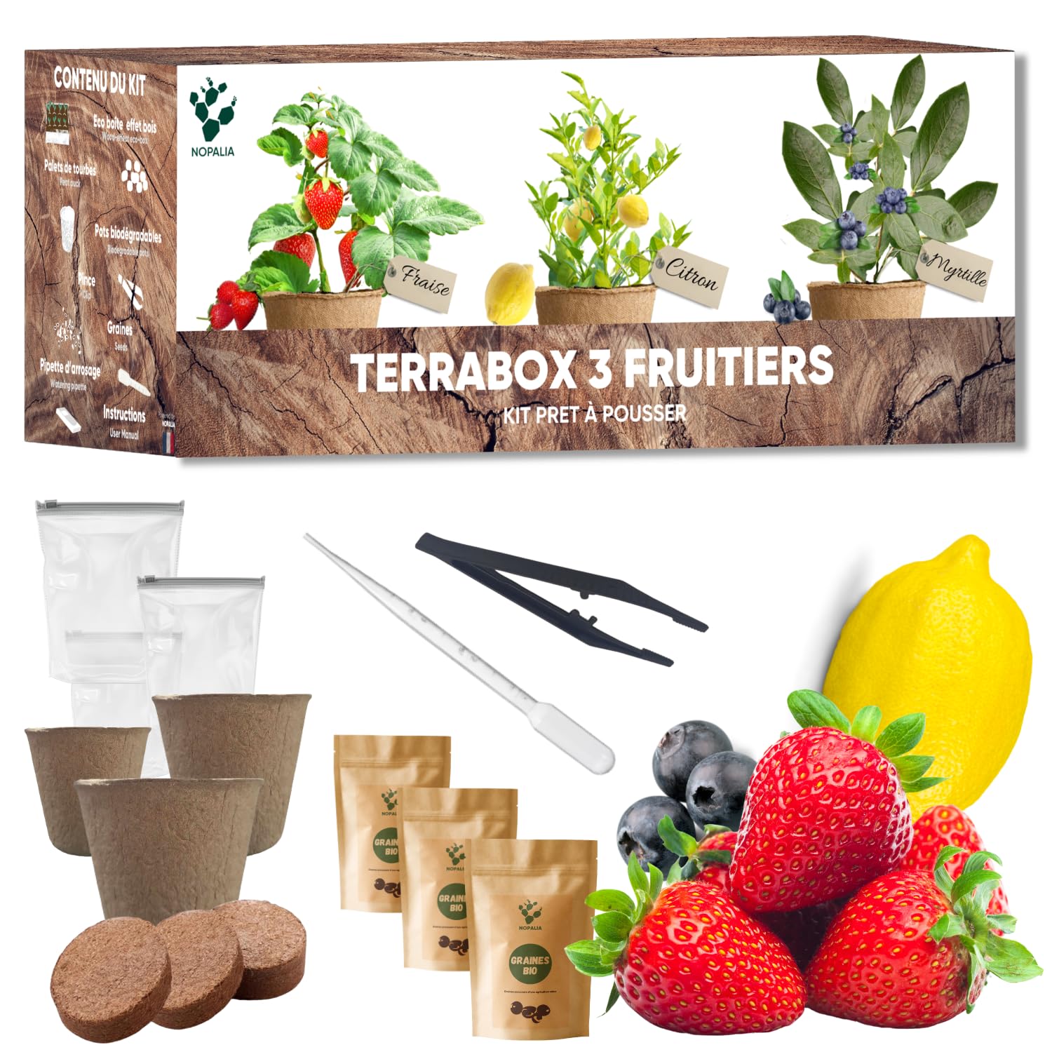 Kit Mini Fruitiers Prêt à Pousser