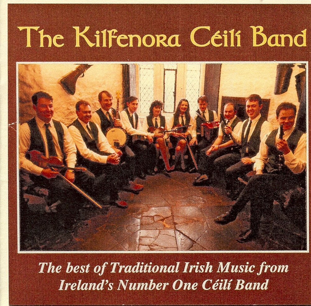 Best of Traditional Irish Musi