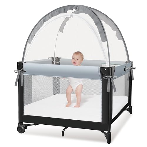 How to Keep Cat Out of 14 Effective Ways (2024)