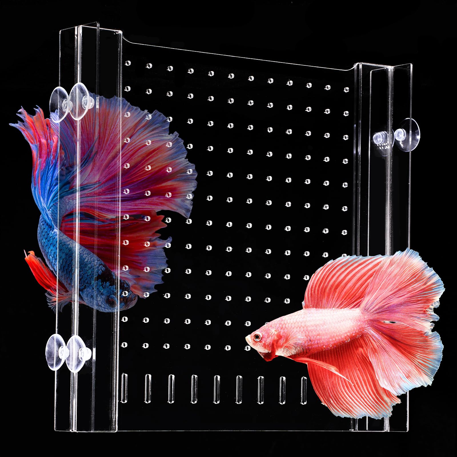 Séparateur d'aquarium avec ventouse, séparateur d'aquarium réglable en acrylique, séparateur transparent pour aquarium de 5,6 x 28,9 cm (28,9 x 28,9 cm)