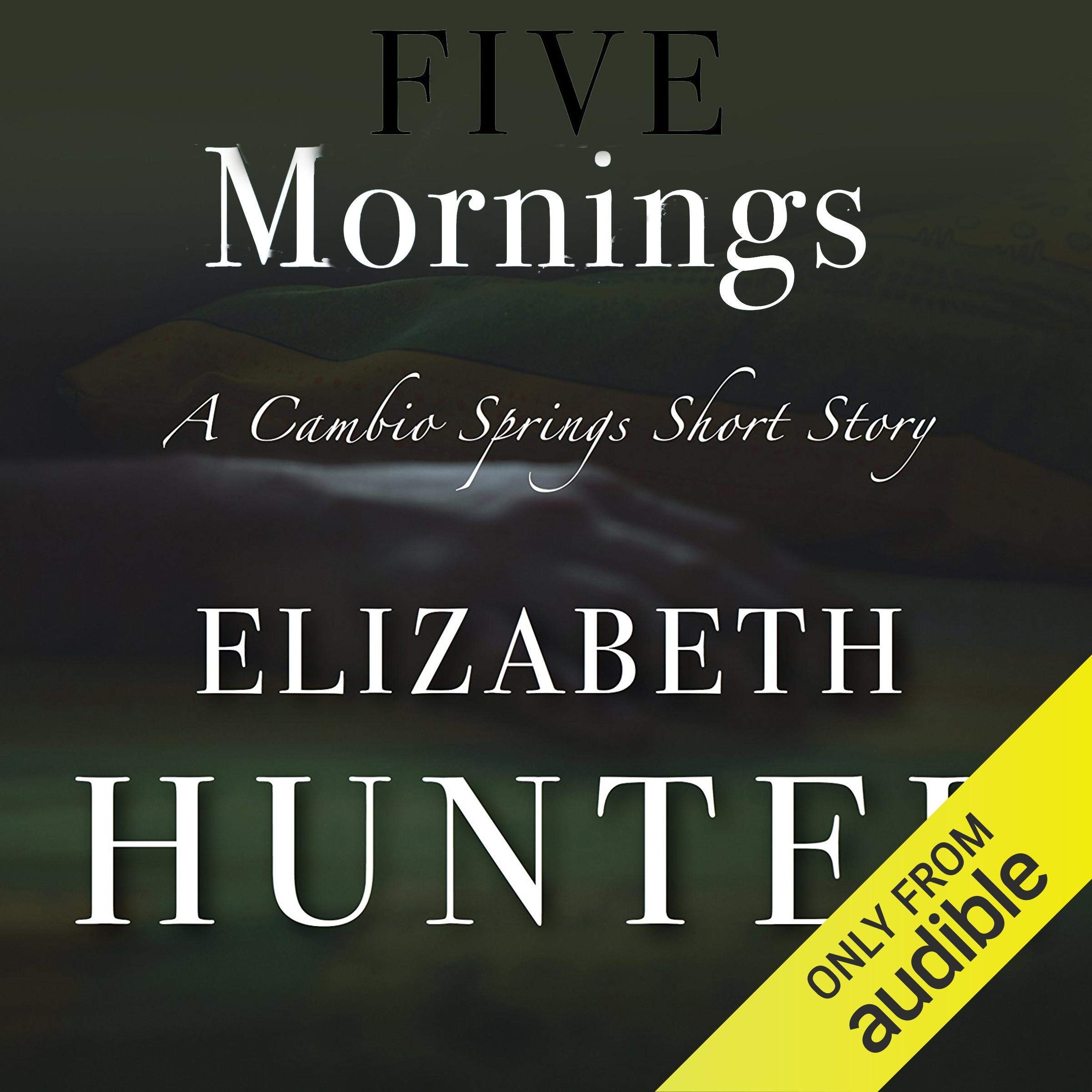 Cover art for Five Mornings
