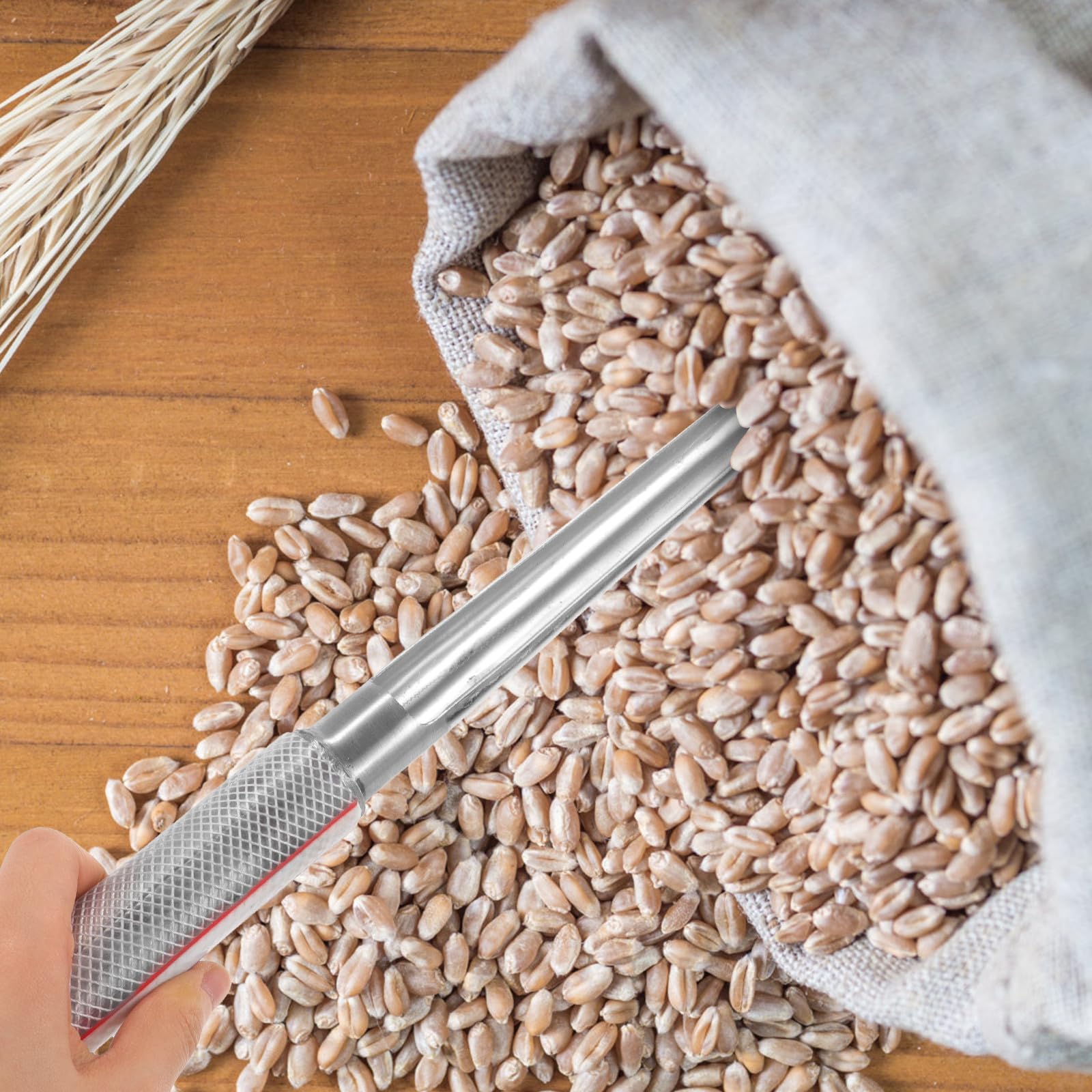 Muestreador de Granos para Laboratorio y Procesamiento de Alimentos, Acero Inoxidable 304, Muestreo Preciso, Resistente al Óxido, para Trigo y Fertilizantes