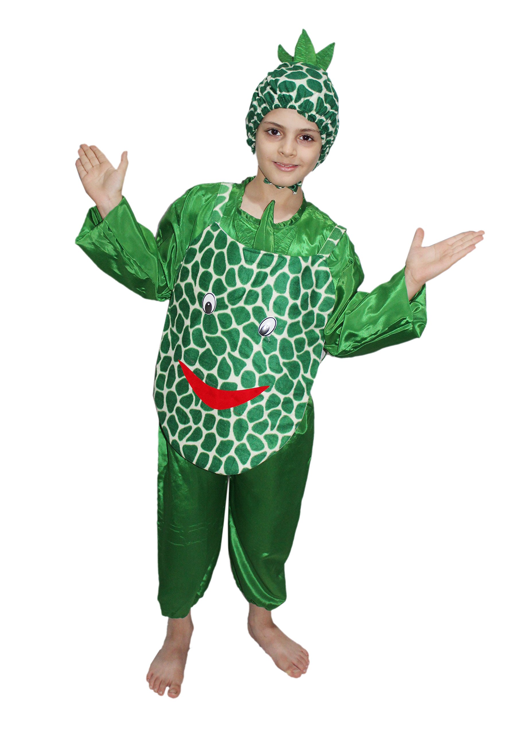 Kaku Fancy Dresses Polyester Pineapple Fruits Costume -Green, 7-8 Years, for Boys & Girls (B07CKL5N57) Amazon Price History, Amazon Price Tracker