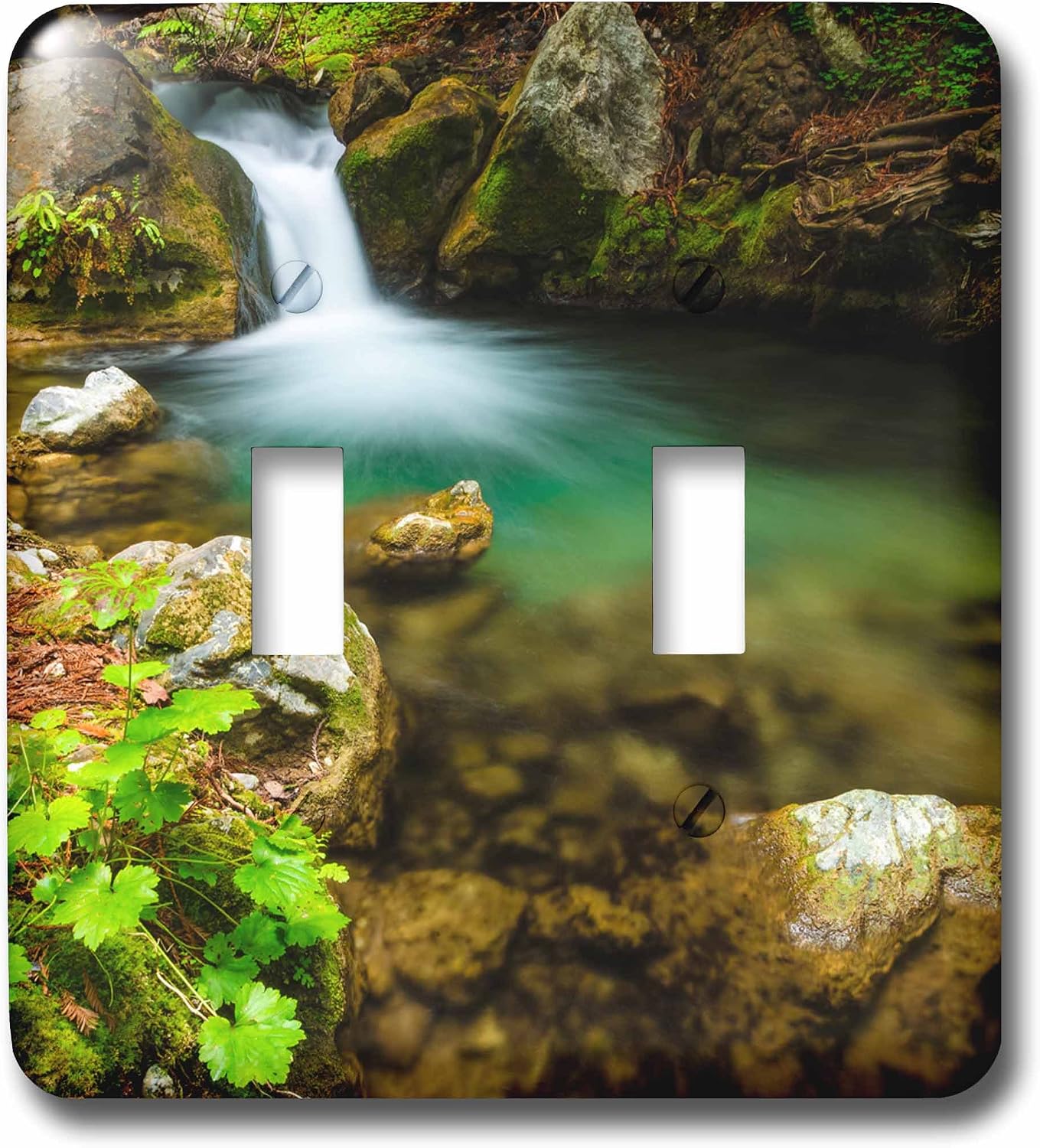 3dRose Double Toggle Switch Cascade on Hare Creek, Limekiln State Park, Big Sur, California, Usa (lsp_259006_2)