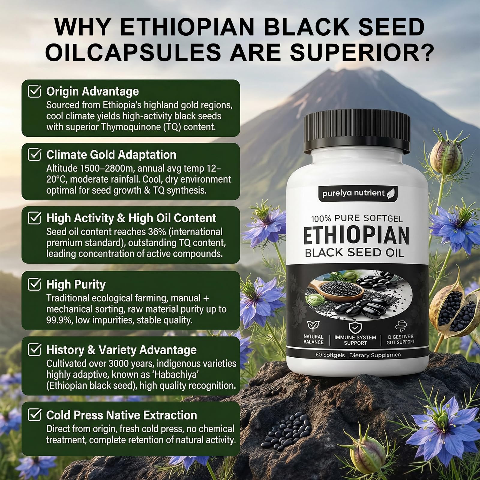 Ethiopian Black Seed Oil Capsules,Purely Nutrient Black Cumin Seed Oil from Nigella Sativa, Non-GMO Black Seed Oil Supplement Organic Cold Pressed, Easy-to-Swallow Softgels for Daily Wellness (2 Pack) — view 4