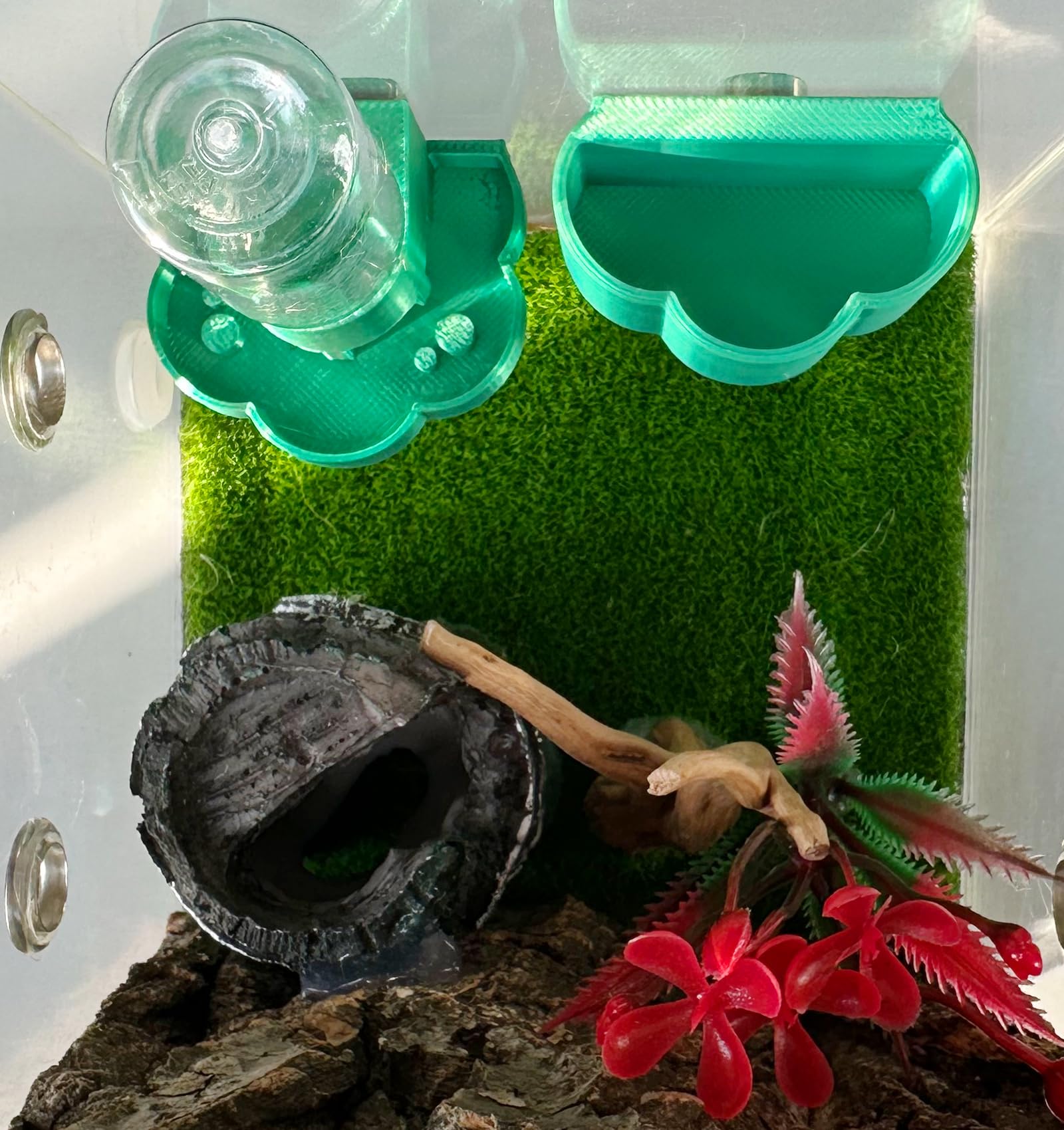 Springspinnen-Wasserspender, magnetischer Futterspender zum Aufhängen, mit Reinigungsbürste und Pinzette, passend für springende Spinnen, Bauerntiere und anderes Kleintierzubehör (bunt, 8 ml)