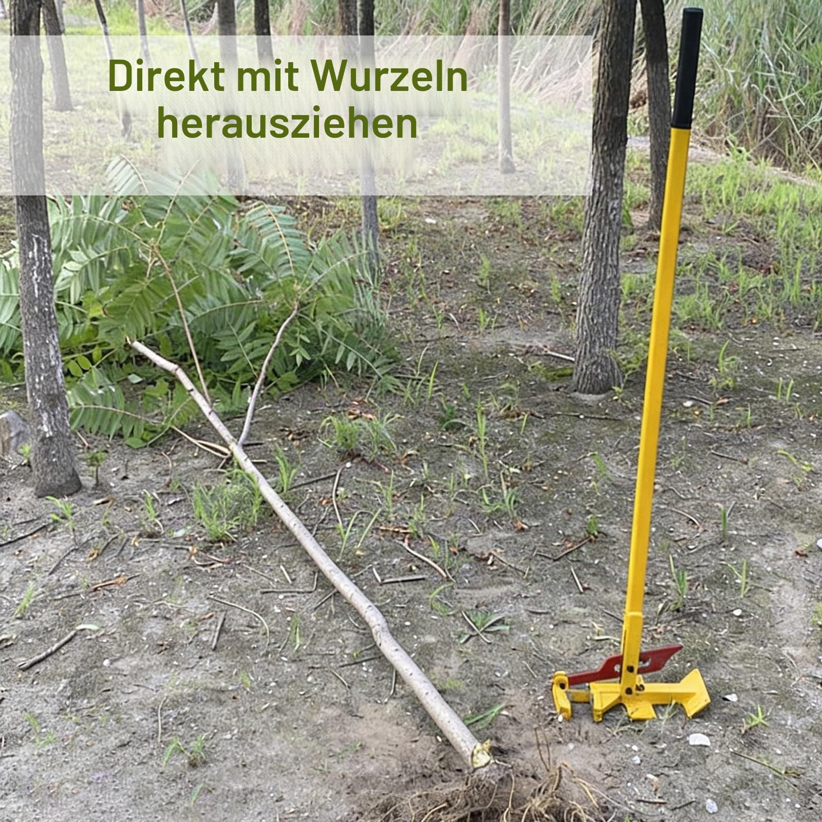 Robustes Werkzeug zum Entfernen von Wurzeln und Pfosten für effiziente Extraktion von Bäumen, Sträuchern und Holzpfosten