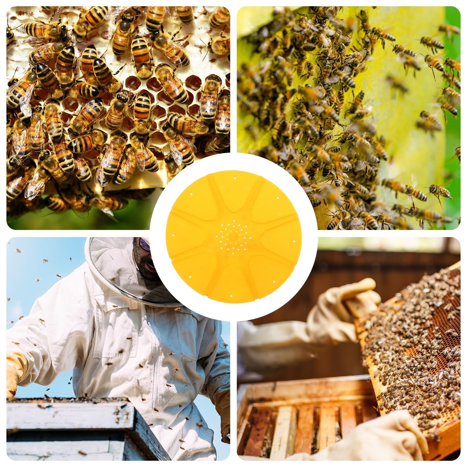 Bienenflucht Scheiben 5 Stück Kunststoff 8 Wege für Imkereiausrüstung Bienenstock Honigernte und Bienentransfer